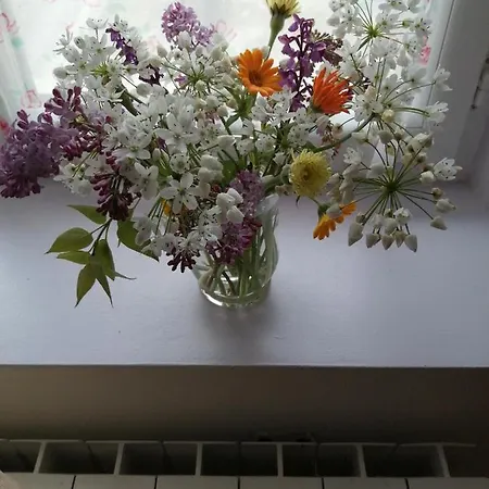 Panzió Bnbinb La Cour Enchantee Brugairolles