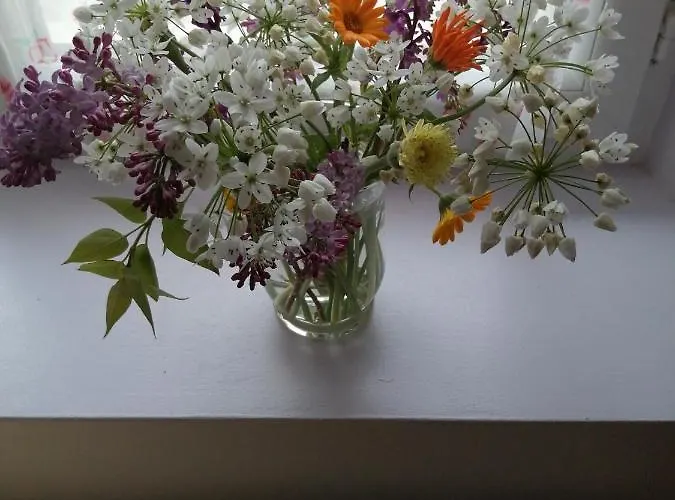 Frühstückspension Bnbinb La Cour Enchantee Brugairolles